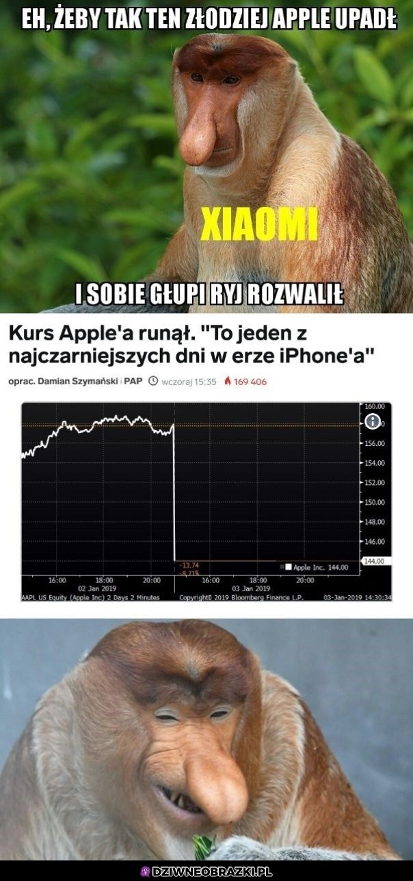 Piękny widok