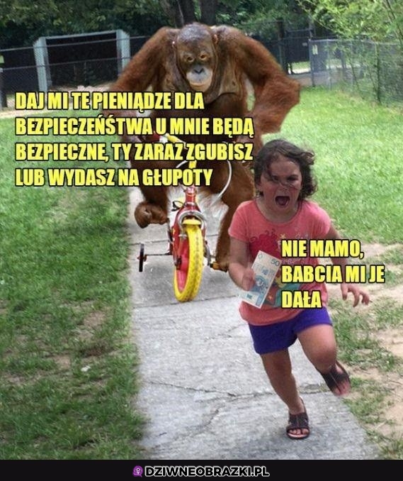 To była pułapka