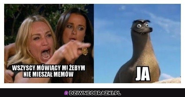 Mieszanie memów