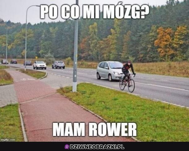 Mózg został w domu