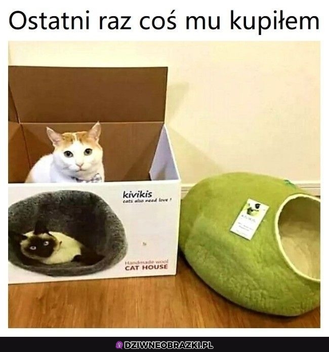 Nigdy więcej
