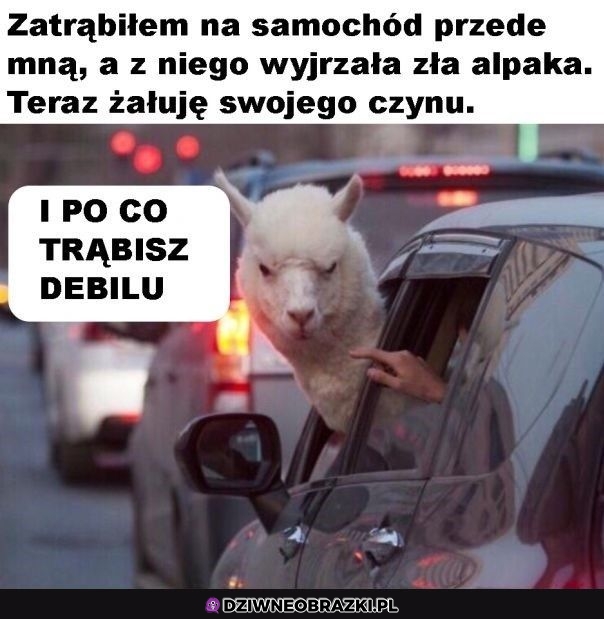 Taki pasażer