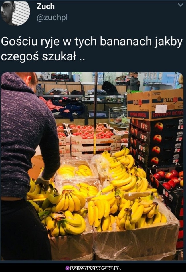 Może jeszcze coś zostało