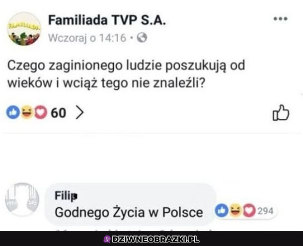 Czego poszukują?