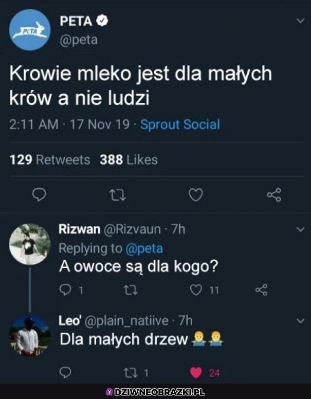 Dobre pytanie