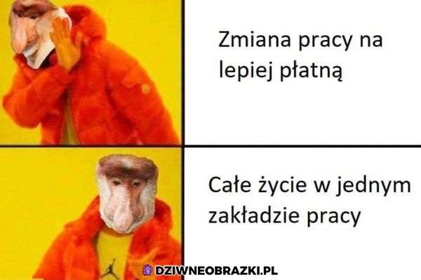 Jest powód do dumy