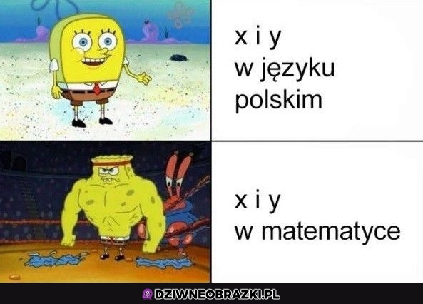 X i Y