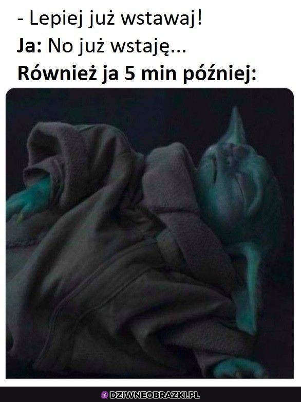 No już wstaję