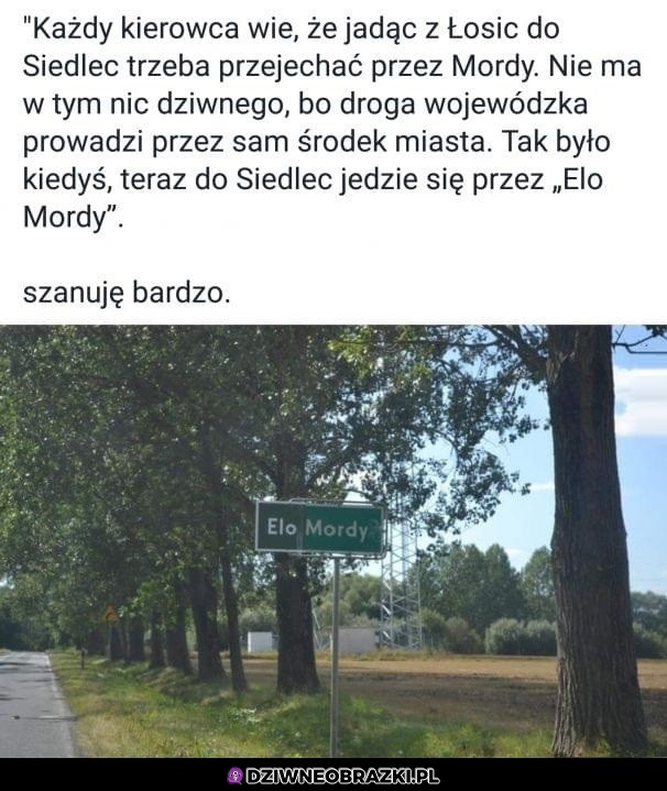 Elo mordy