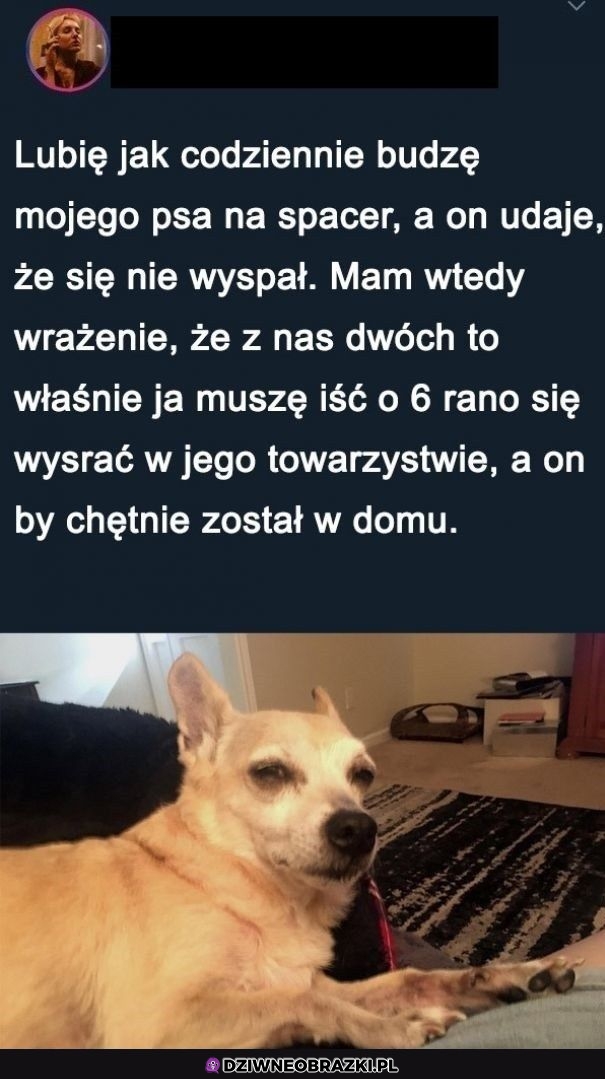 Zawsze to samo