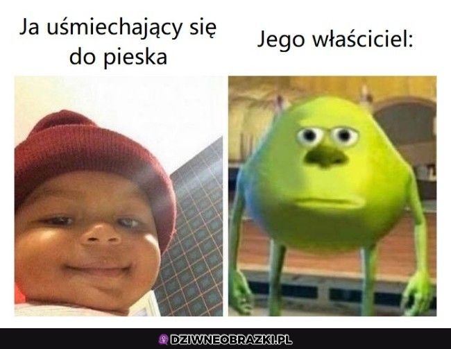 Kiedy zobaczę pieska
