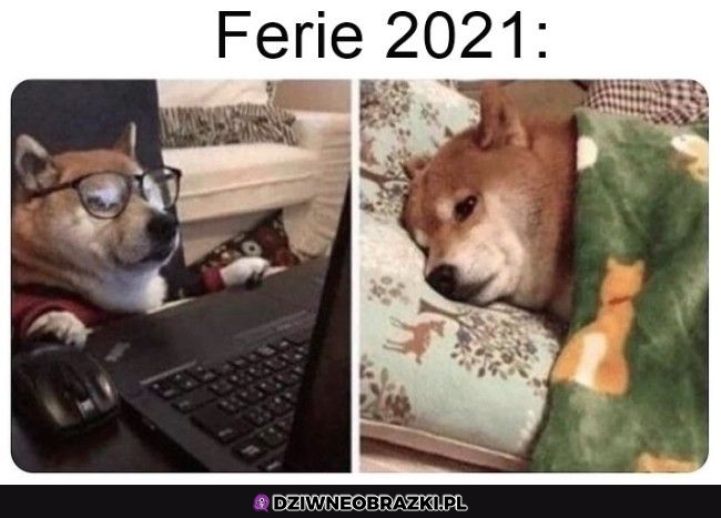 I poleciały