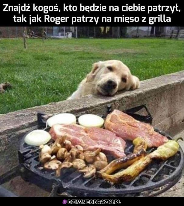 Znajdź kogoś takiego