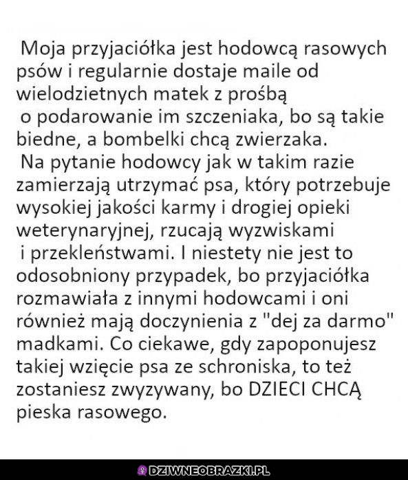 Najgorszy typ człowieka