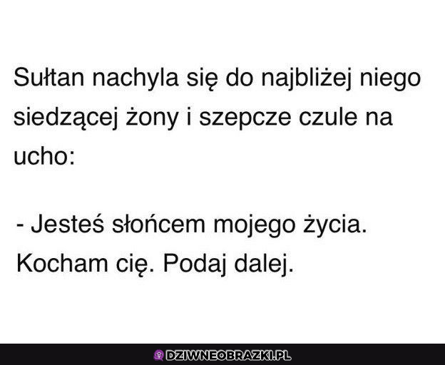 Z życia Sułtana