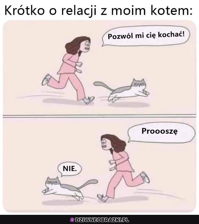 Moja relacja z kotem