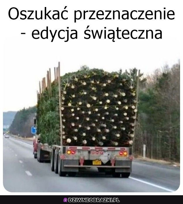 Oglądaliście?