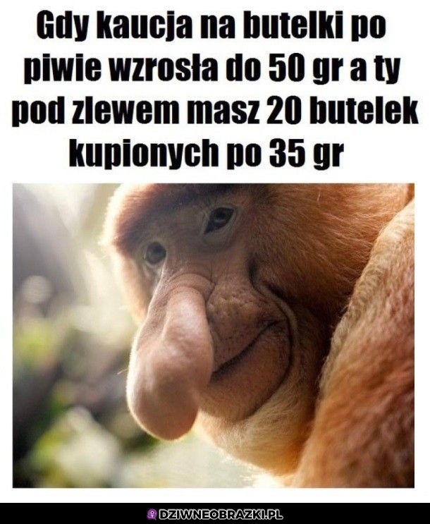 Bogactwo
