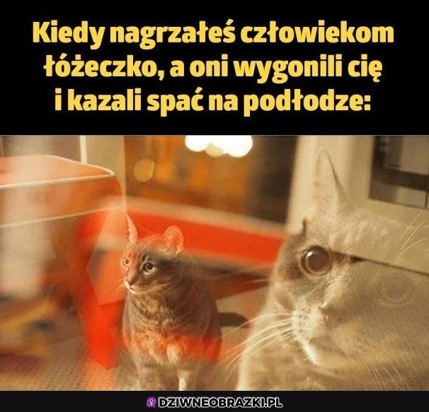 Niewdzięcznicy