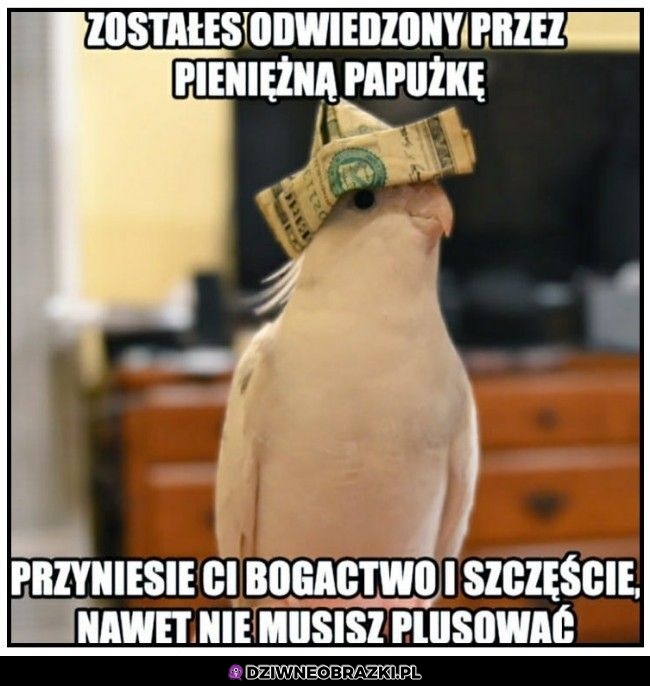 Nie musisz dziękować