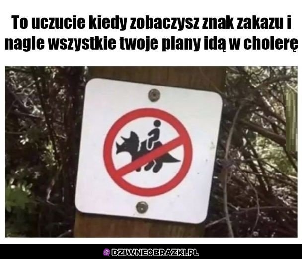 Też bym to chciał