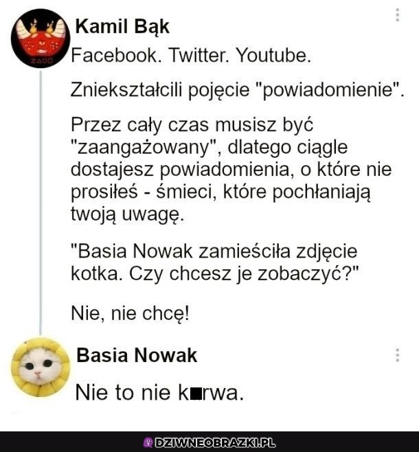 Powiadomienia