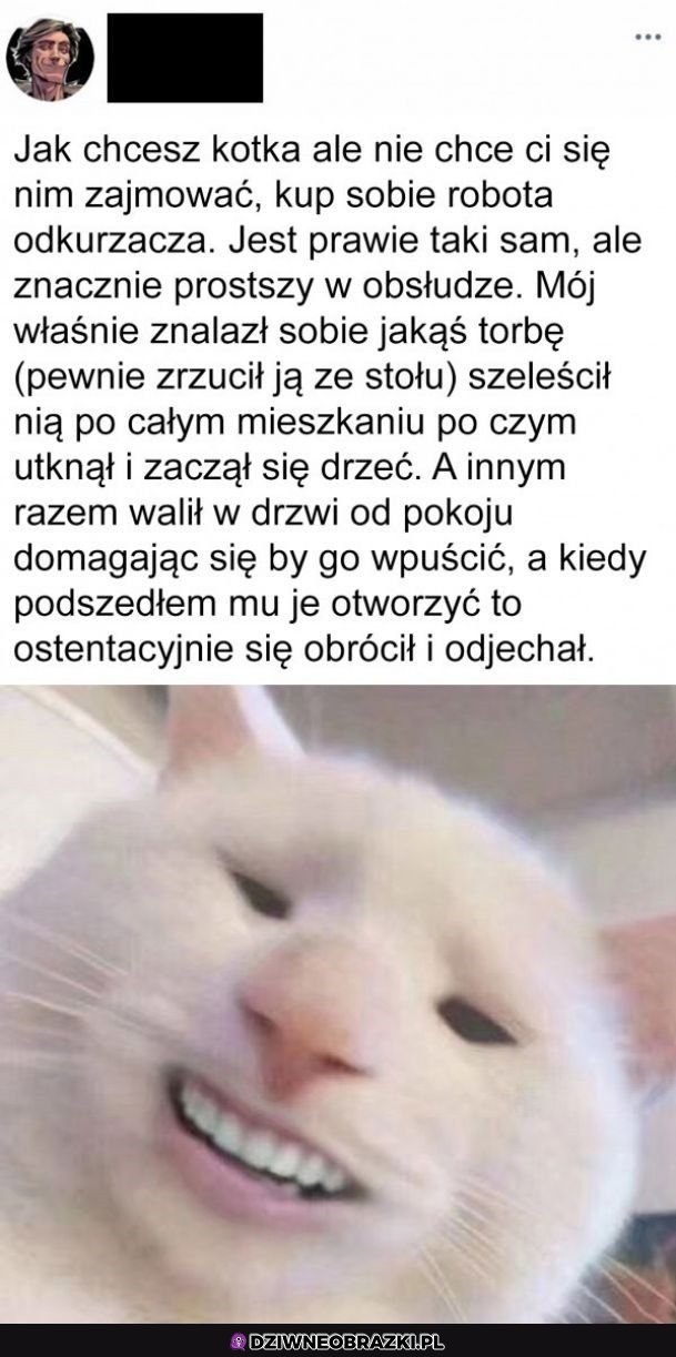 Roboty są jak koty