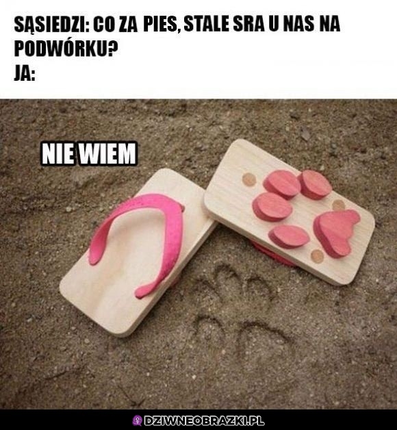 "Pies"