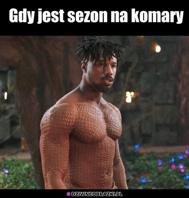 Komary