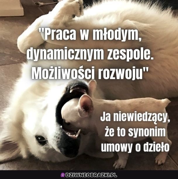 To pułapka