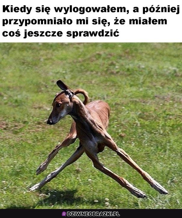 Ten moment