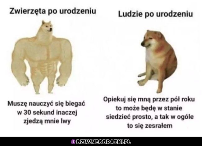 Taka różnica