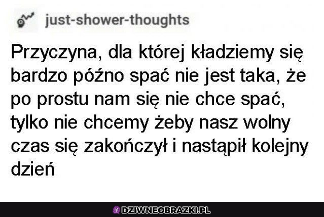 Właśnie dlatego