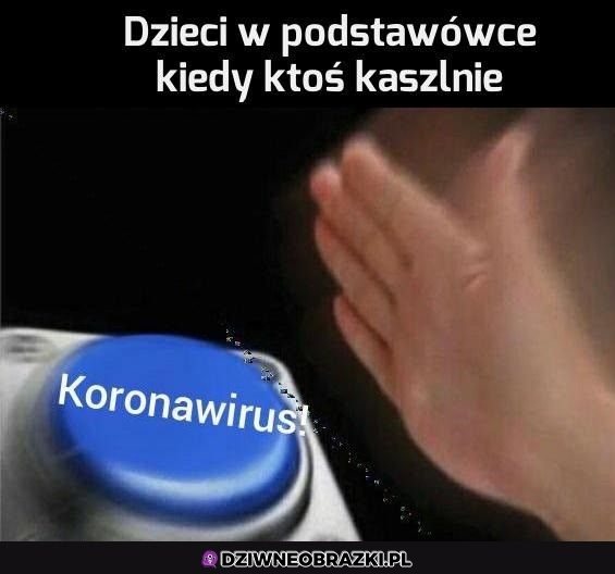 Zawsze