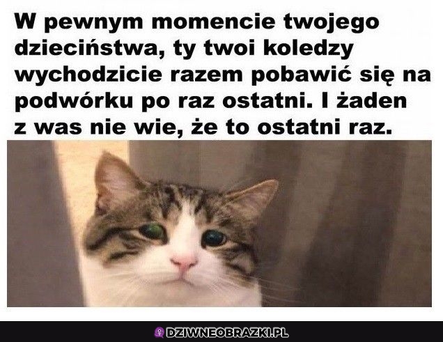 Tak jest