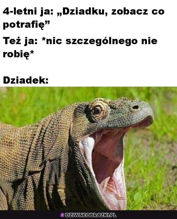 Dziadku zobacz!