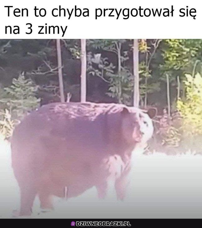 Gotowy na wszystko