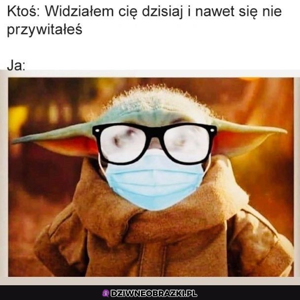 Tyle widziałem