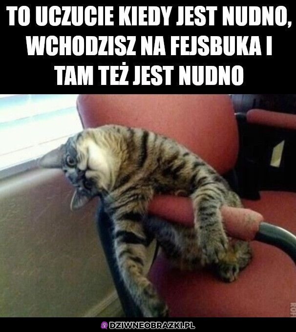 A do końca pracy 5 godzin
