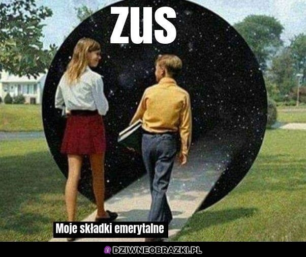 Tak wygląda ZUS