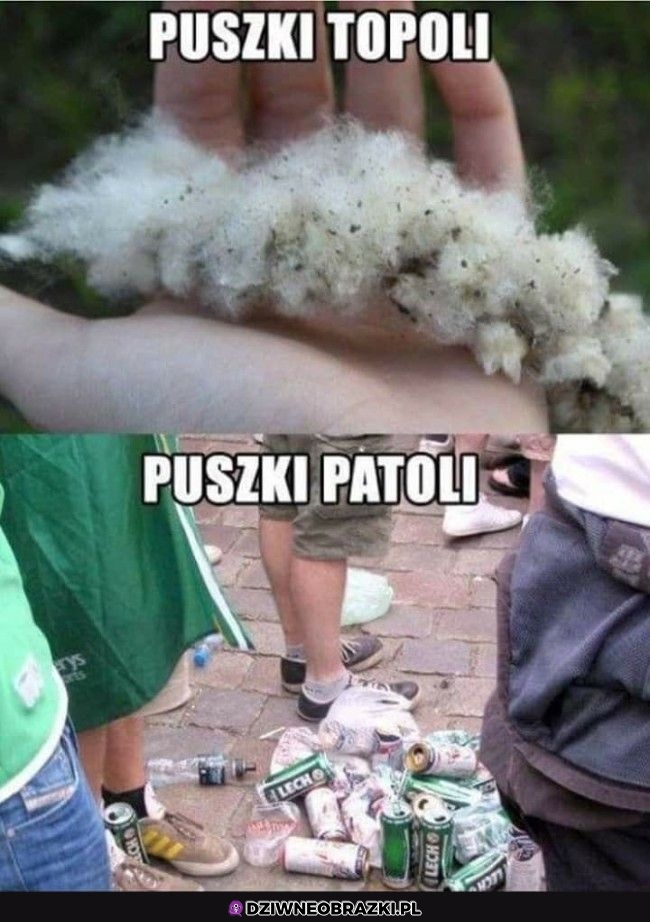 Dwa rodzaje