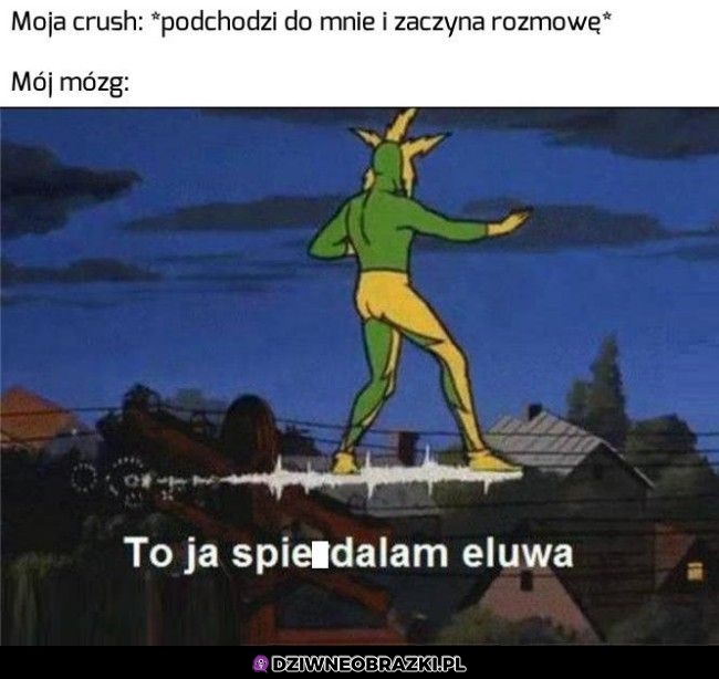 No dzięki