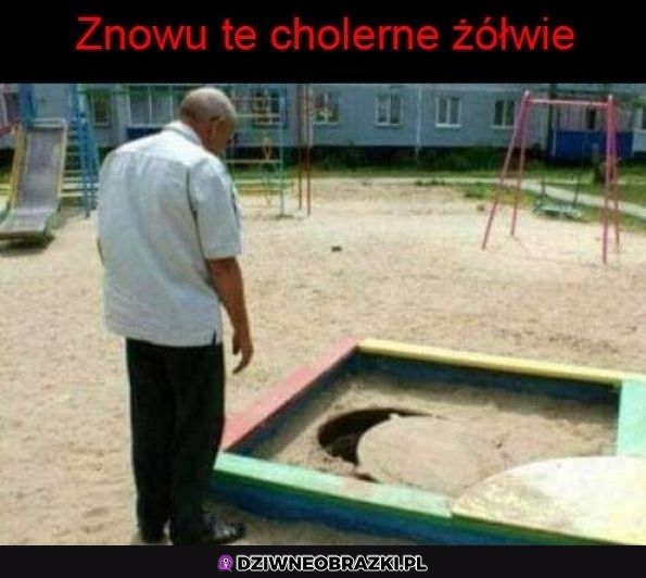 Ech znowu one