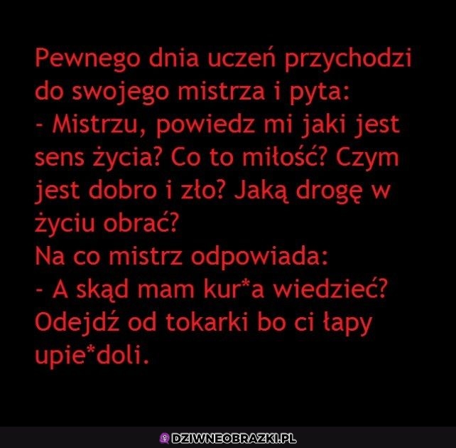 Wizyta u mistrza