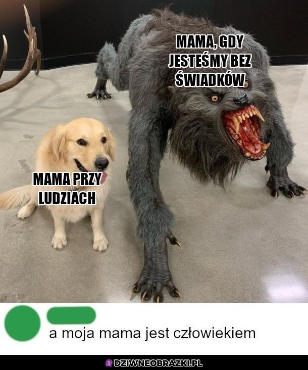 Dwa oblicza mamy
