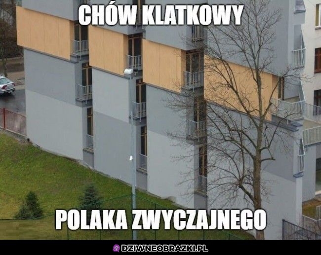 Chów klatkowy