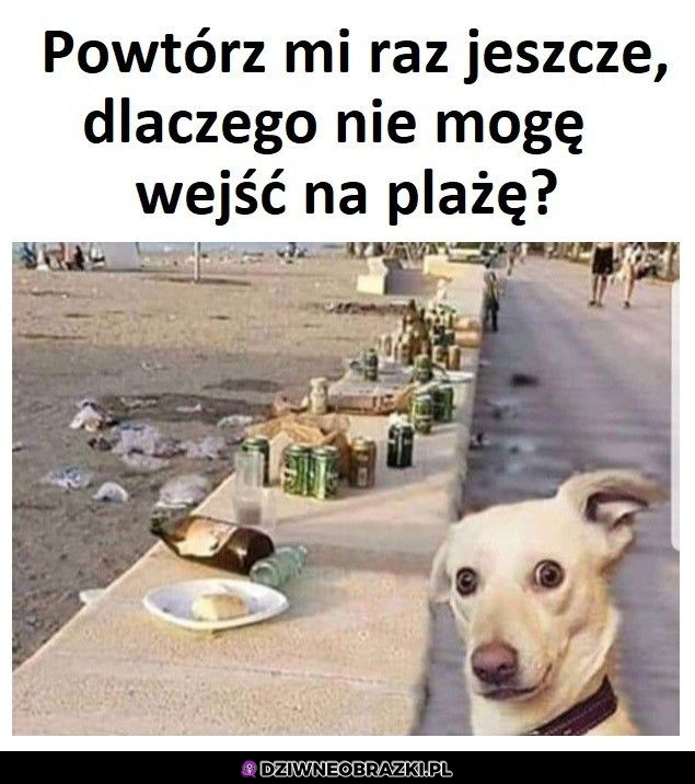 Dlaczego nie mogę?