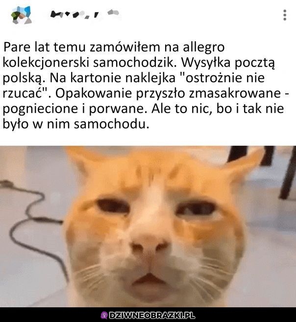 Super aukcja