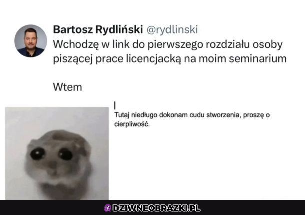 Nie spodziewałem się za wiele