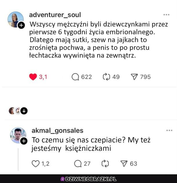 My jesteśmy po prostu lepszą wersją, ewolucja 